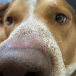 Meet your Posher, Bryan